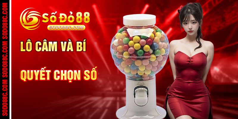 Lô Câm Và Bí Quyết Chọn Số Hiệu Quả