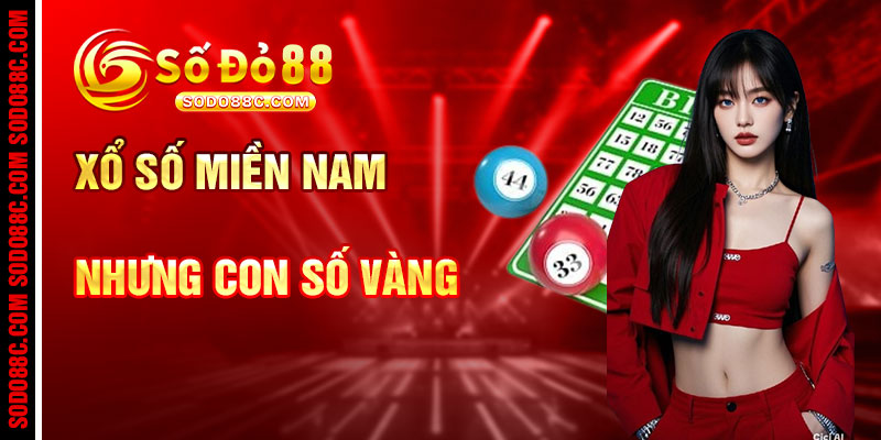 Xổ Số Miền Nam Và Những Hạt Giống Số Vàng