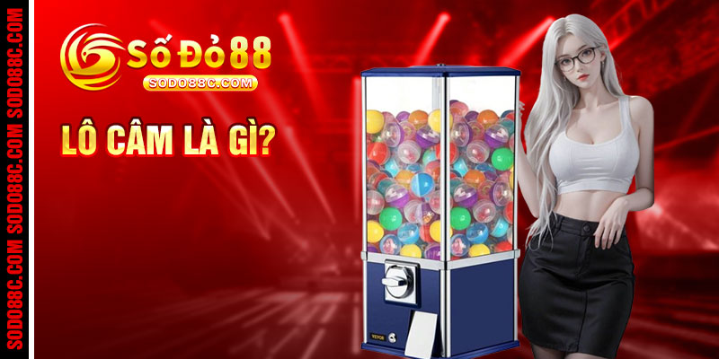 Lô Câm Và Bầu Trời May Mắn Rực Rỡ