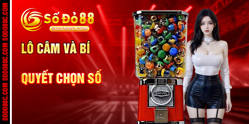 Lô Câm Và Các Hình Thức Xổ Số Phù Hợp