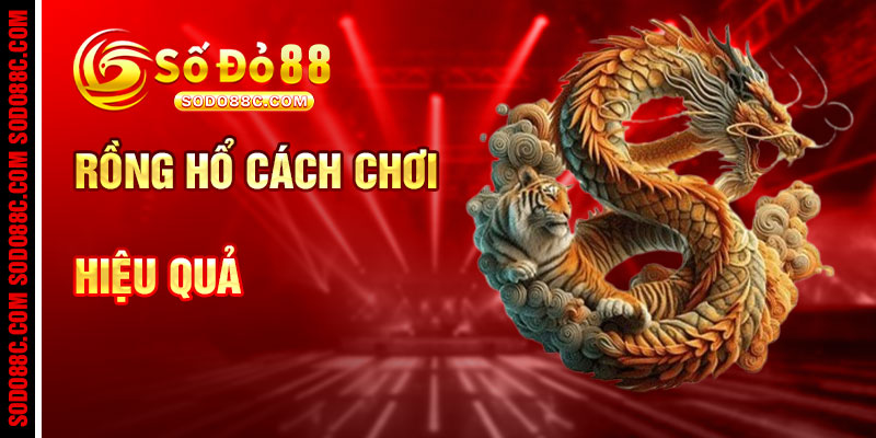Hướng Dẫn Chơi Rồng Hổ: Cách Chơi Hiệu Quả