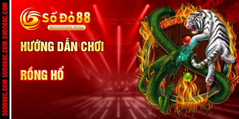 Hướng Dẫn Chơi Rồng Hổ